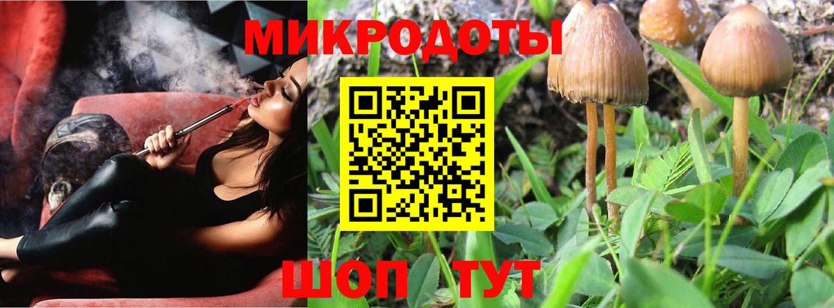 Псилоцибиновые грибы Magic Shrooms Кохма