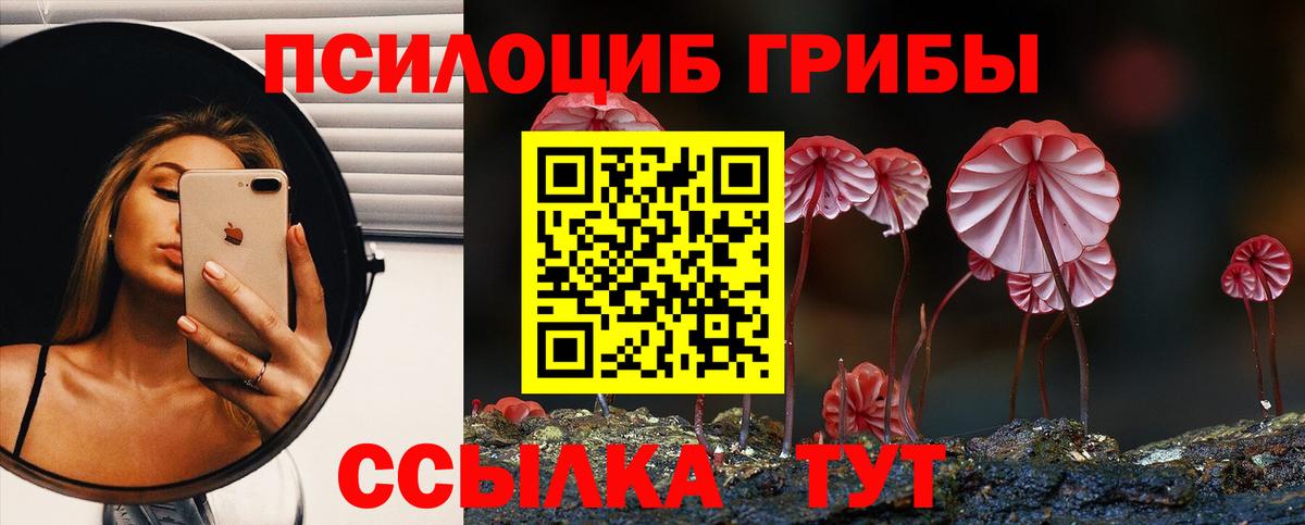 Галлюциногенные грибы MAGIC MUSHROOMS  Псилоцибиновые грибы мухоморы  Вход с VPN  Кохма 